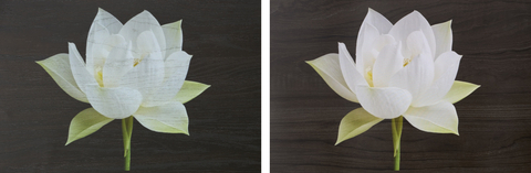 左：传统技术会影响显示图像的色彩和清晰度。右：汽车显示屏装饰膜可实现清晰显示，不受色彩或装饰图案影响。

